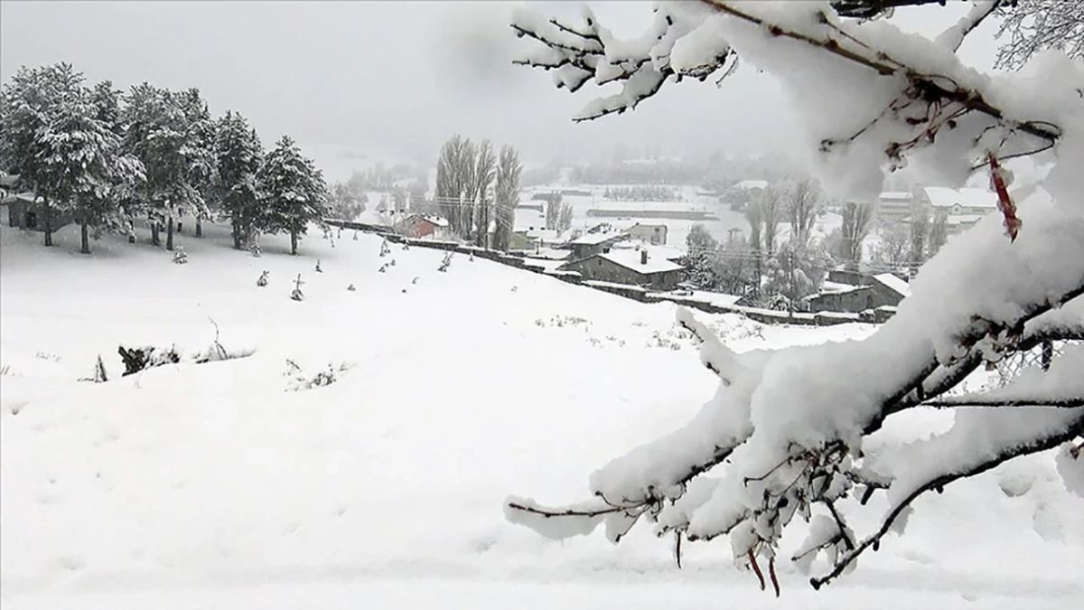 Kars'ta Soğuk Hava Alarmı: Ağaçlar Buz Sarkıtlarıyla Kaplandı!