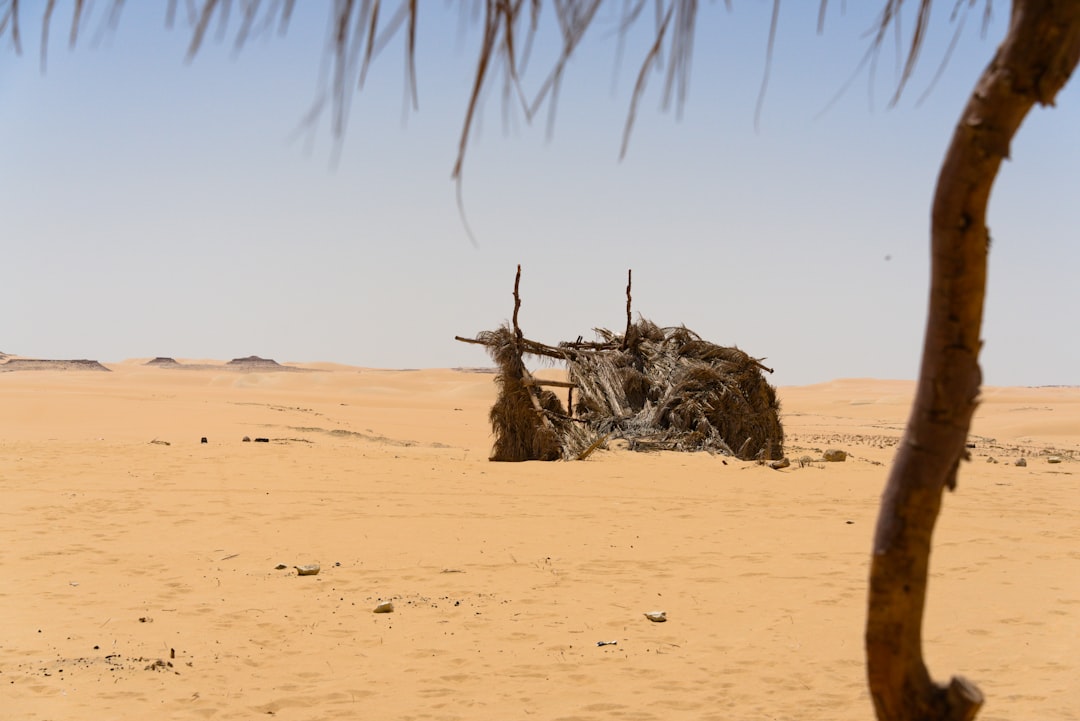 ABD-İran Geriliminde Trump’ın Hamleleri Şaşırtıyor!