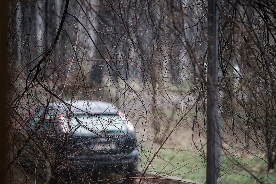 16 Yaşındaki Genç Otomobilde Ölü Bulundu! Şok İddia...