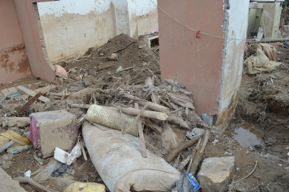 Endonezya 7.4'lük Depremle Sarsıldı! Yıkım ve Hasar Tespiti Sürüyor