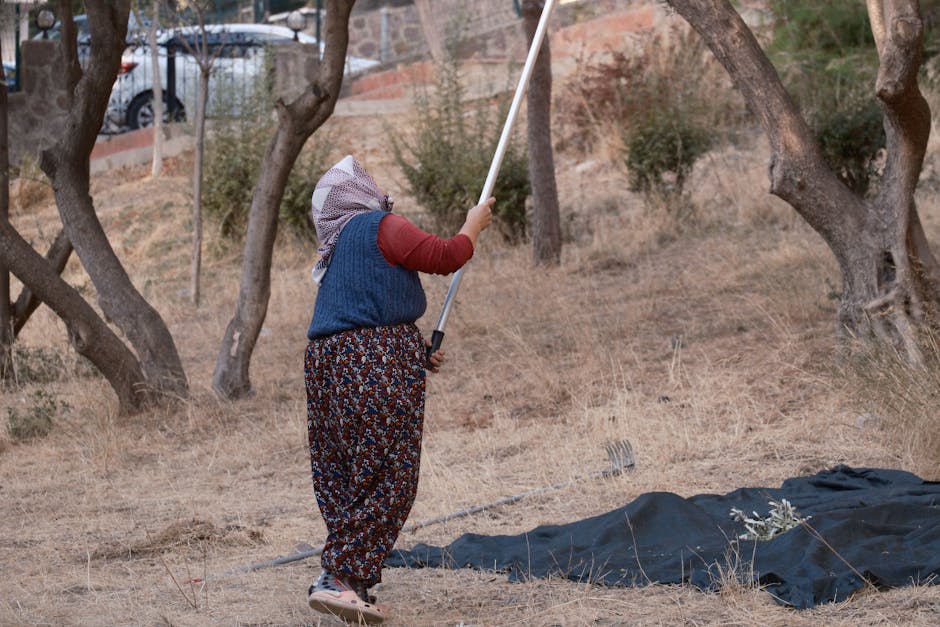 İkizköy Ayakta: Kamulaştırmaya 'Geç Gelen Adalet' Tepkisi!