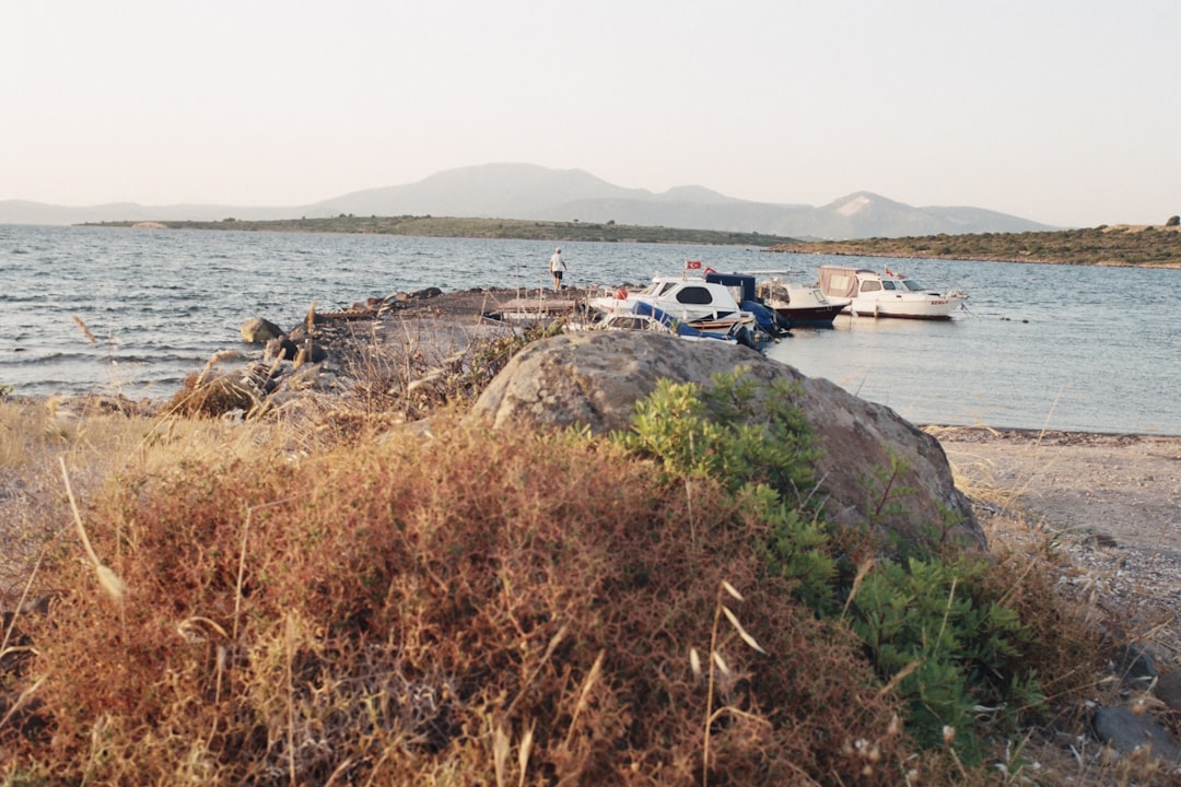 Gediz Nehri Alarmda: İzmir Körfezi ve Tarım Tehdit Altında!